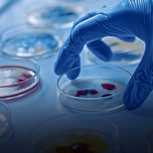 Microbiology services