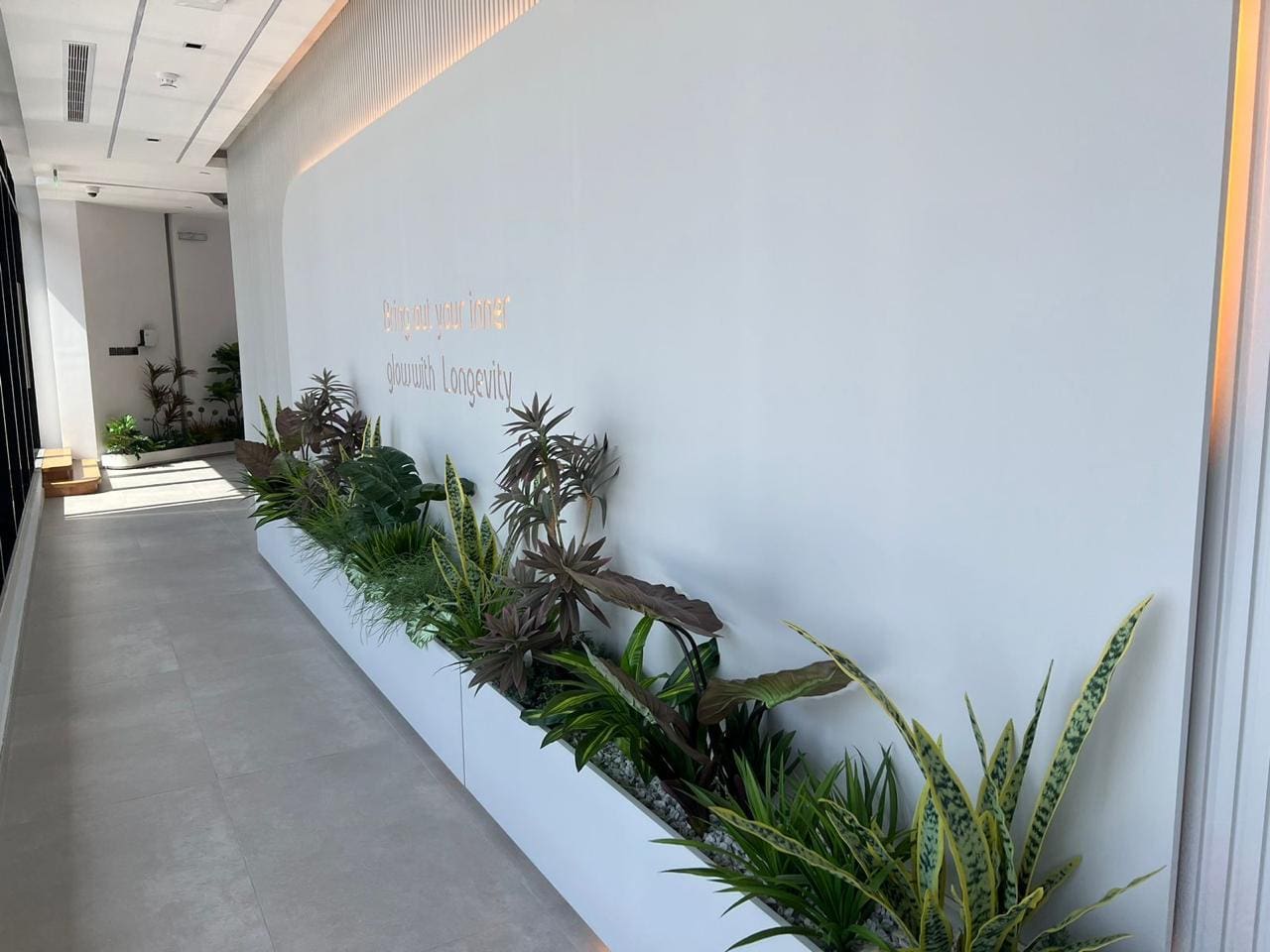 صورة معرض العيادة